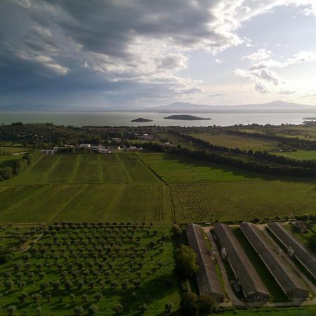 Tra Lago E Collina Passignano sul Trasimeno Bagian luar foto