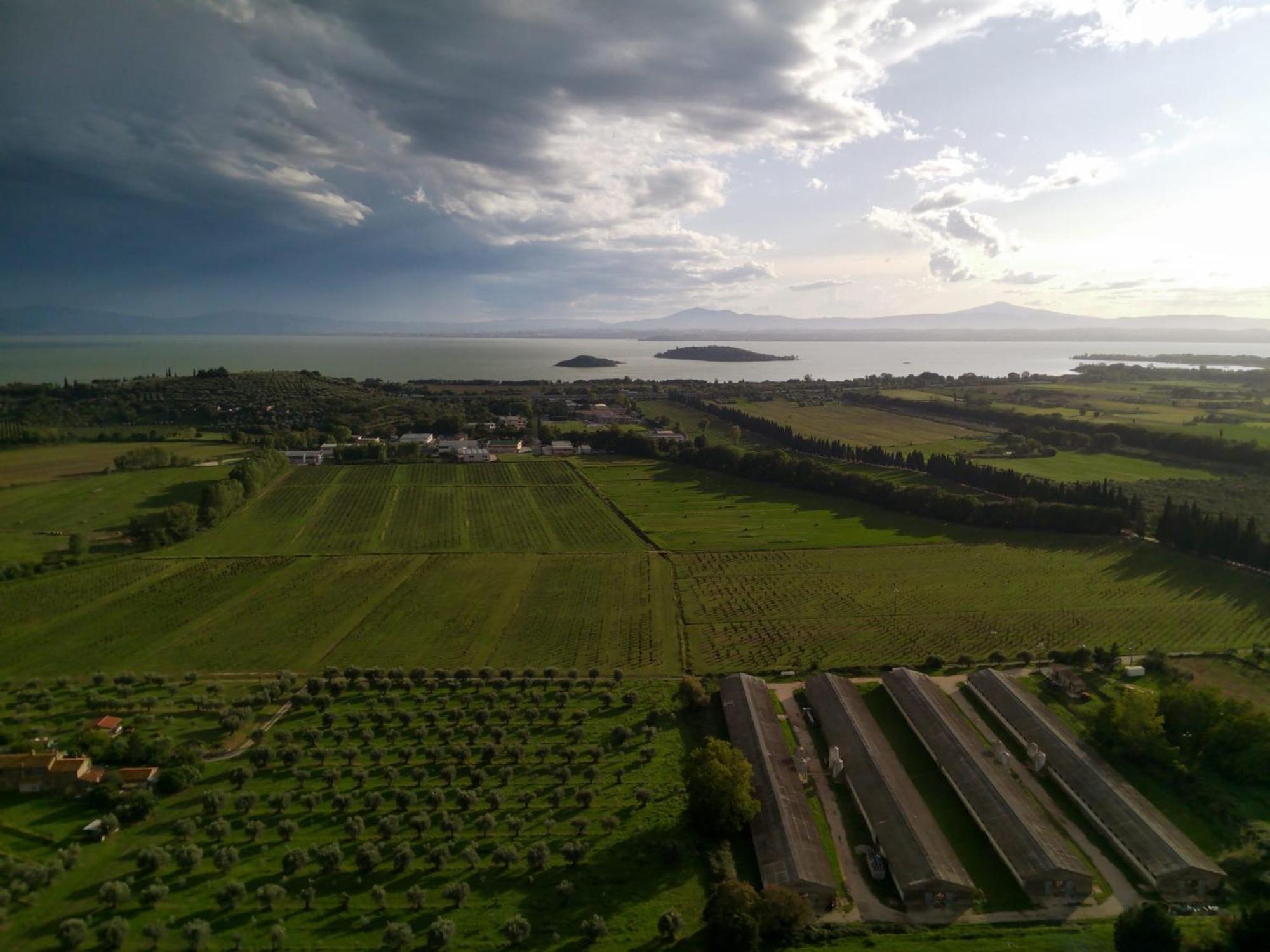 Tra Lago E Collina Passignano sul Trasimeno Bagian luar foto
